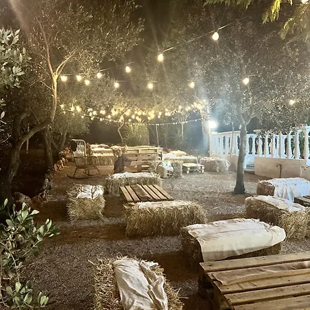 Ninetta Apartman Mottola